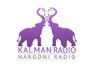 Kalman radio